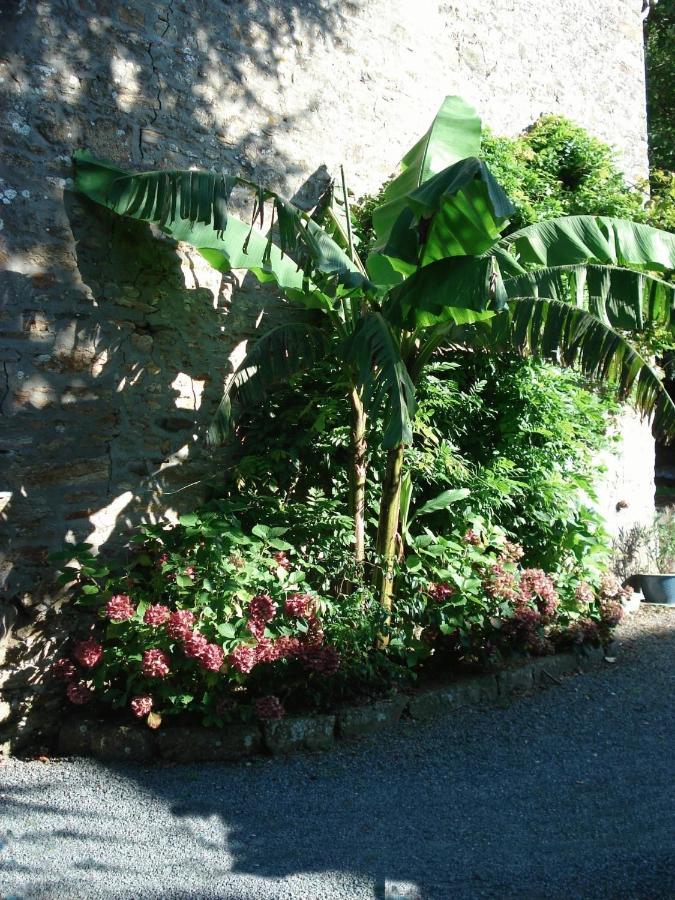 Le Clos Des Tilleuls La Vendelée エクステリア 写真